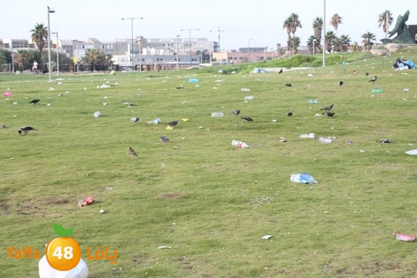 trash in yaffa 812 (37).JPG